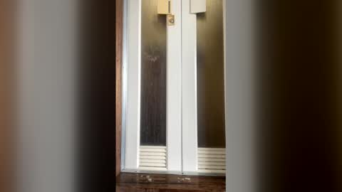 shinkeo online show from April 23, 10:33 pm