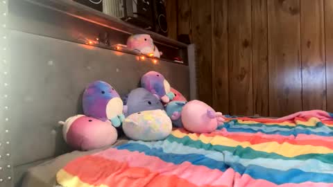 Sasha online show from November 27, 2:25 pm