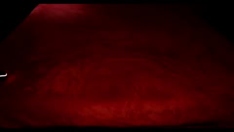 shyshawn18 online show from July 10, 8:02 pm