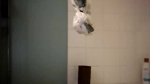 sigmaelixer online show from October 18, 8:40 am