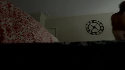 Daddy online show from October 7, 12:12 pm