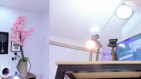 Siouxsie online show from February 13, 11:13 am