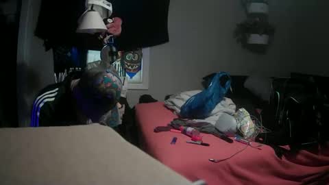 Danny skiff online show from March 9, 7:37 pm