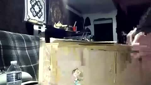 sissyslut0517 online show from March 3, 2:29 am