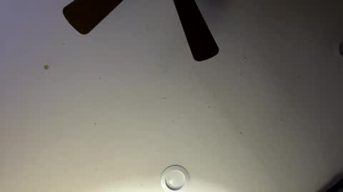 Snapshot of slickdog1969 chatting on January 30, 6:03 am Slickdog online show from January 30, 6:03 am