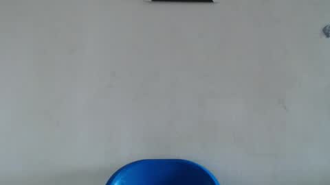 perry online show from March 10, 11:36 am