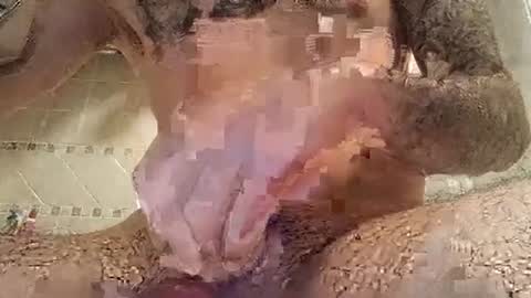 smallone8825 online show from March 10, 6:27 am