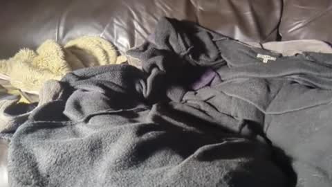 smoke0102 online show from September 20, 3:53 am