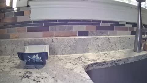 smthbtm53 online show from March 14, 1:15 pm