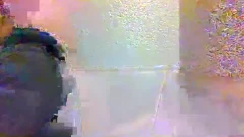 smurdle online show from October 25, 3:23 pm