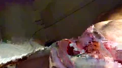 Snooty online show from January 16, 10:23 pm