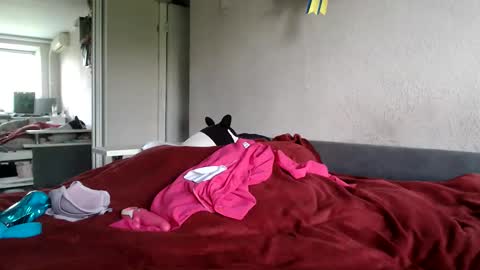 Sofi online show from May 29, 2:26 pm