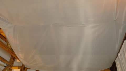 Sofi online show from November 14, 1:30 am