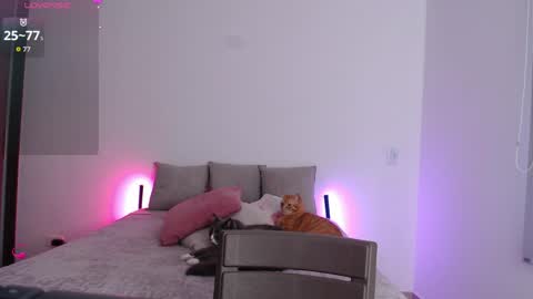 Lau  online show from June 6, 8:26 pm