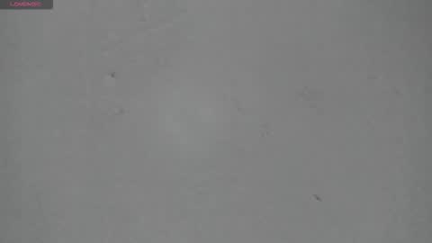 sophia_ebony___ online show from March 15, 1:14 pm