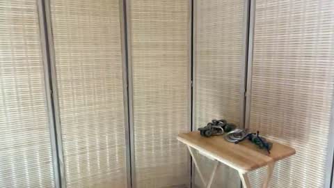 sorry_eggs online show from March 29, 6:53 pm