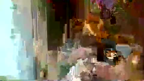 source1012 online show from January 16, 1:36 am