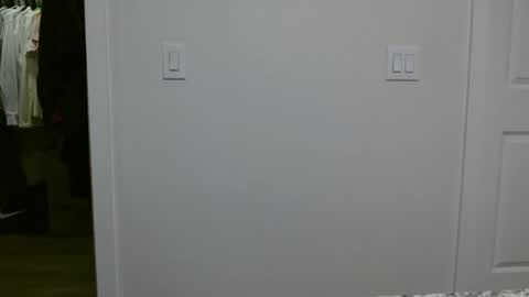 specialiest online show from January 12, 6:04 pm