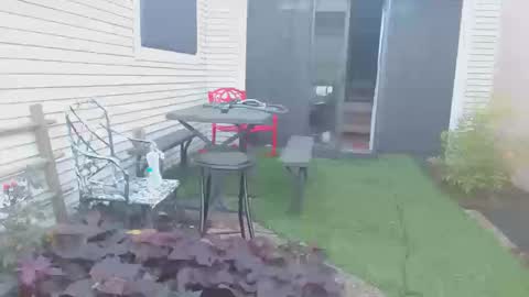 srtxshow online show from October 20, 12:54 pm