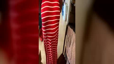 ssstackin online show from June 13, 2:38 pm