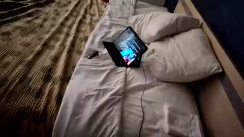 Straightupdownbad online show from November 30, 1:23 am