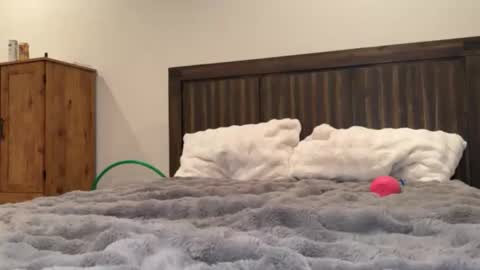 Stara Winters online show from January 9, 2:44 pm