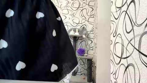 Kiki online show from June 12, 5:06 am