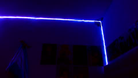      online show from December 4, 7:35 pm