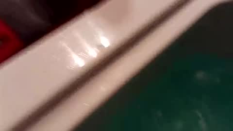 STEEVIDENTACHATTE online show from April 2, 1:02 am