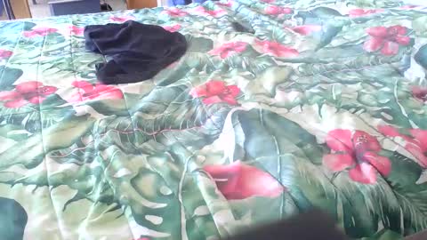 Snapshot of stel7621 chatting on October 1, 11:31 am Rocco-load online show from October 1, 11:31 am