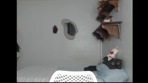 Stella online show from February 26, 5:55 am