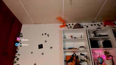 stellart_ online show from November 7, 5:10 am