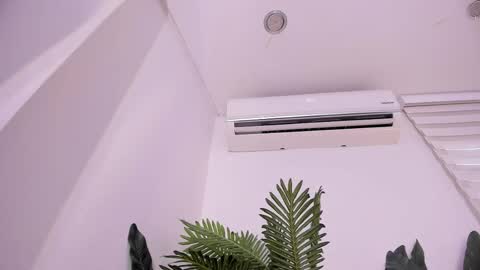 Stephany  online show from December 22, 6:03 pm