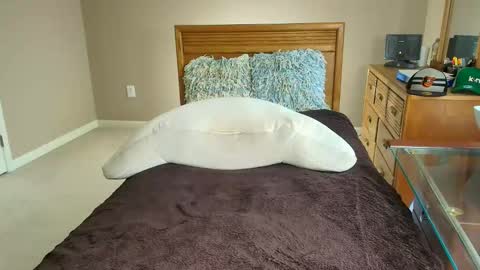 Stephon Stallion online show from October 11, 7:17 pm