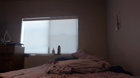 stiffcock4269 online show from April 15, 7:58 pm