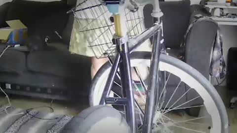 stillcantsl66p online show from October 3, 6:05 pm