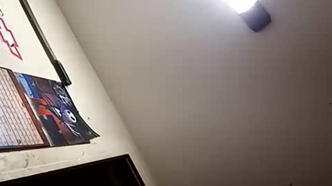 Oval2022 online show from January 1, 1:16 pm