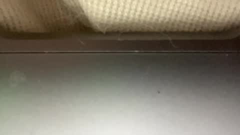 sugadee online show from February 4, 10:43 am