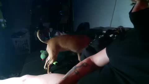 sukdikalldae online show from April 20, 6:05 am