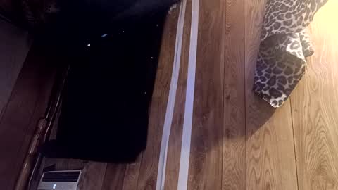 Summer Divine online show from February 22, 8:53 pm