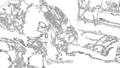 sven online show from June 9, 7:52 am