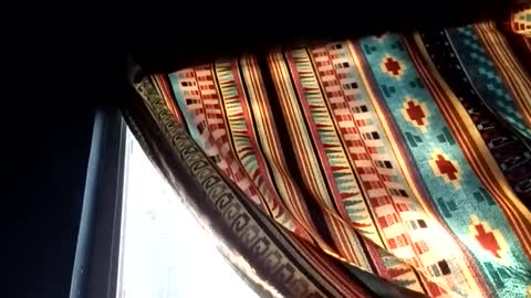 BIGDGEE online show from December 4, 4:43 pm