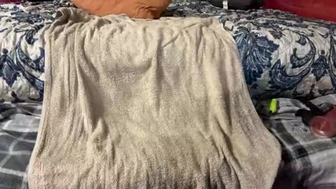 Stony online show from March 3, 9:48 pm