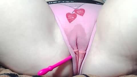 Kitten online show from March 3, 5:58 am