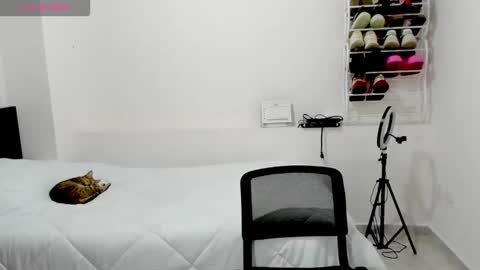 lili online show from December 2, 2:48 pm