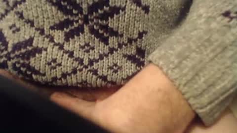 Swim online show from December 3, 2:12 am