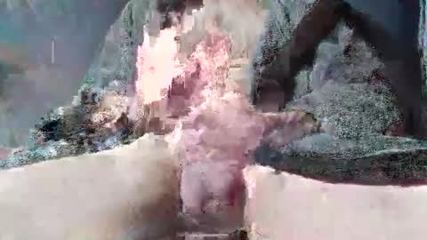 sybomec online show from April 9, 12:33 pm