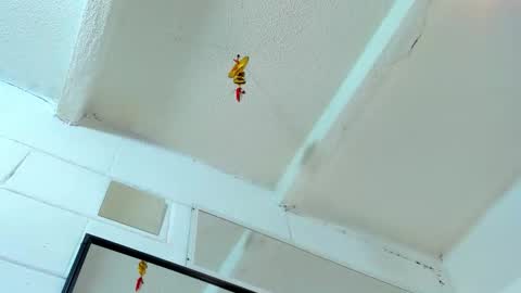 Tafari Zulu online show from March 2, 5:08 am