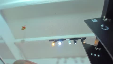 Tafari Zulu online show from April 17, 1:24 pm