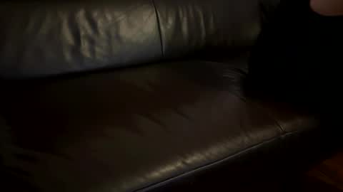 tall_shy_kitty online show from January 8, 1:55 am